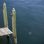 Darsena Di Riva Grande Pensionat Moltrasio